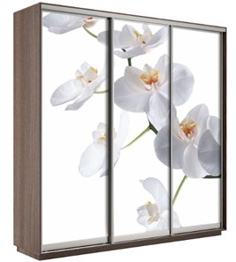 Шкаф 3-створчатый Экспресс 1800х600х2200, Орхидея бела/шимо темный в Ангарске