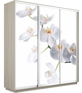 Шкаф 3-х дверный Экспресс 2400х600х2200, Орхидея белая/шимо светлый в Братске