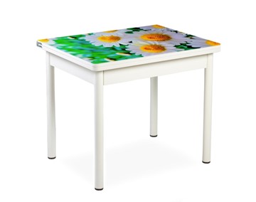 Кухонный пристенный стол СПА-01 СТФ, белый/фотопечать ромашки/опоры прямые белые в Братске