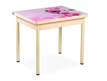 Кухонный пристенный стол СПА-02 СТФ, молочный дуб/фотопечать орхидея/опоры бежевый в Братске
