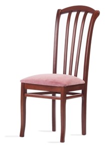 Обеденный стул Веер-Ж (нестандартная покраска) в Братске