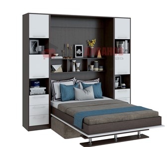 Кровать-шкаф с диваном DetalMaster Бела 1, с полкой ножкой, 1200х2000, венге/белый в Ангарске