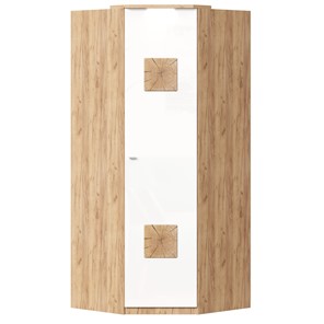 Шкаф угловой 45 с декоративной накладкой Фиджи, 659.248, белый в Иркутске