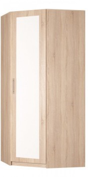 Шкаф распашной угловой Реал (YR-230х1034 (3)-М Вар.1), с зеркалом в Братске - изображение