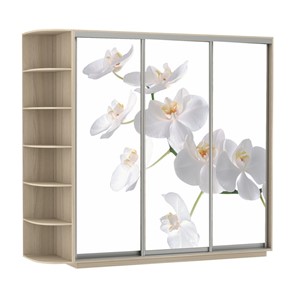 Шкаф Экспресс со стеллажом, 2100х600х2200, Орхидея белая/шимо светлый в Ангарске - предосмотр