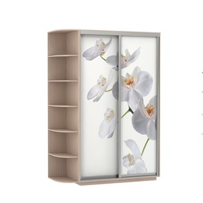 Шкаф 2-дверный Экспресс 1700x600x2200, со стеллажом, Орхидея белая/дуб молочный в Ангарске