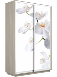 Шкаф 2-х дверный Экспресс 1600x450x2200, Орхидея белая/шимо светлый в Ангарске