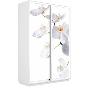 Шкаф 2-створчатый Экспресс 1600x450x2400, Орхидея белая/белый снег в Ангарске - предосмотр