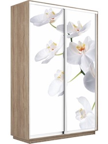 Шкаф 2-х створчатый Экспресс 1600x450x2400, Орхидея белая/дуб сонома в Ангарске