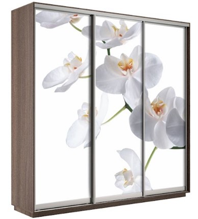 Шкаф 3-створчатый Экспресс 1800х600х2200, Орхидея бела/шимо темный в Братске - изображение