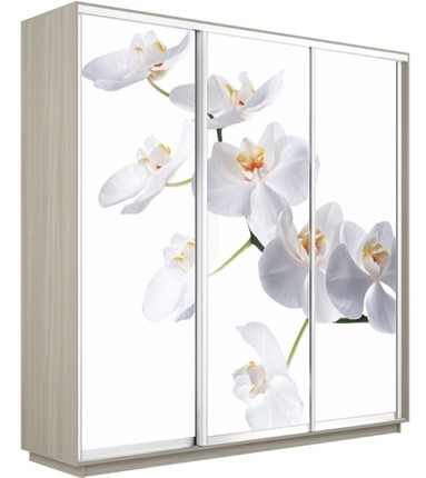 Шкаф 3-дверный Экспресс 1800х600х2200, Орхидея белая/шимо светлый в Ангарске - изображение
