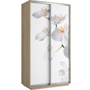 Шкаф 2-х дверный Хит 1200x600x2200, белая орхидея, ясень шимо светлый в Ангарске