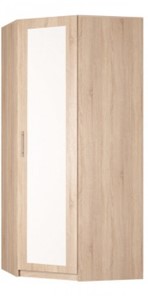 Шкаф распашной угловой Реал (YR-230х1034 (3)-М Вар.4), с зеркалом в Братске - предосмотр