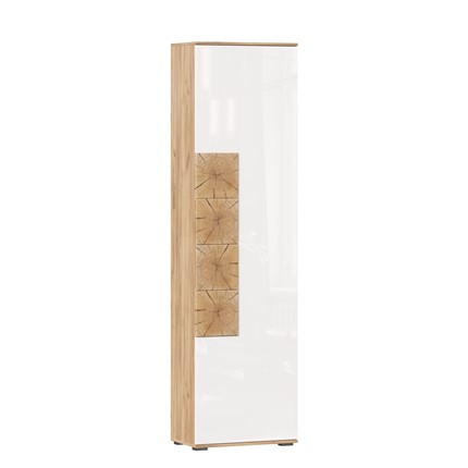 Шкаф одностворчатый Фиджи, 659300, белый/дуб золотой в Братске - изображение