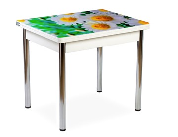 Кухонный пристенный стол СПА-02 СТФ, белый/фотопечать ромашки/опоры хром в Ангарске