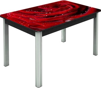 Кухонный стол раздвижной Гамбург исп. Мини, ноги метал. крашеные №23, Фотопечать (Цветы №39) в Ангарске