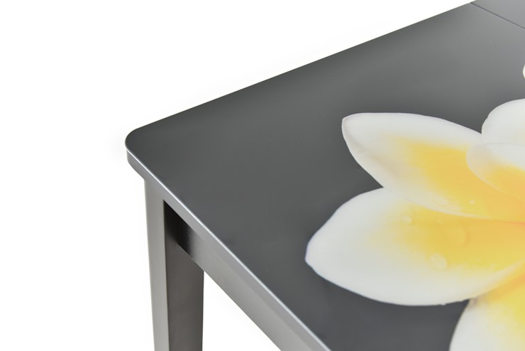 Кухонный стол раздвижной Гамбург исп.1 ноги метал. крашеные №23, Фотопечать (Текстура №74) в Ангарске - изображение 8