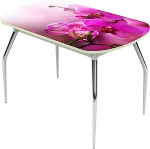 Раздвижной стол Ривьера исп.1 ноги метал. крашеные №24 Фотопечать (Цветы №16) в Ангарске