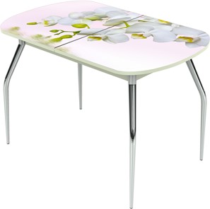 Кухонный стол раздвижной Ривьера исп.1 ноги метал. крашеные №24 Фотопечать (Цветы №7) в Братске