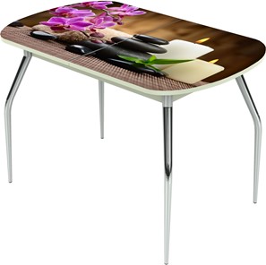 Кухонный стол раздвижной Ривьера исп.2 ноги метал. крашеные №24 Фотопечать (Цветы №18) в Братске