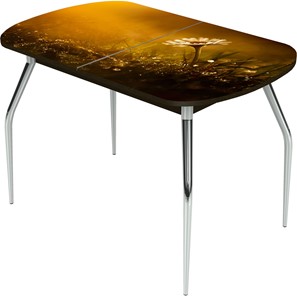 Кухонный раздвижной стол Ривьера исп.2 ноги метал. крашеные №24 Фотопечать (Цветы №43) в Ангарске