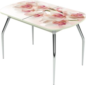 Кухонный раскладной стол Ривьера исп.2 ноги метал. крашеные №24 Фотопечать (Цветы №8) в Братске