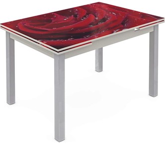 Кухонный стол раздвижной Шанхай исп. 2, ноги метал. крашеные №21 Фотопечать (Цветы №39) в Ангарске