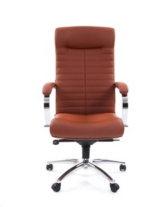 Кресло офисное CHAIRMAN 480 Экокожа Terra 111 (коричневая) в Братске - предосмотр 1