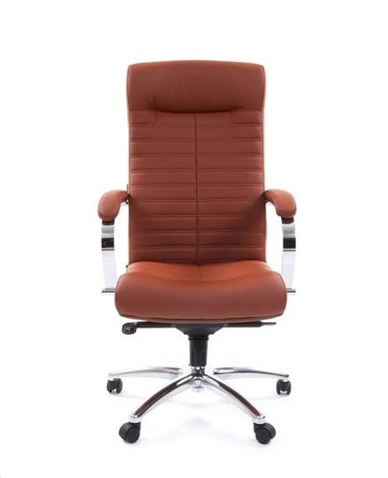 Кресло офисное CHAIRMAN 480 Экокожа Terra 111 (коричневая) в Братске - изображение 1