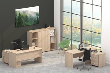Офисный набор мебели Twin в Ангарске - предосмотр 4