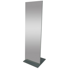 Зеркало напольное в полный рост Стелла (графит темный) 163,5 см x 50 см в Ангарске