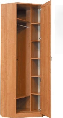 Шкаф распашной 402 угловой со штангой, цвет Дуб Сонома в Ангарске - изображение 1