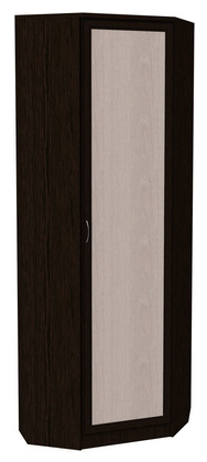 Шкаф 402 угловой со штангой, цвет Венге в Братске - изображение