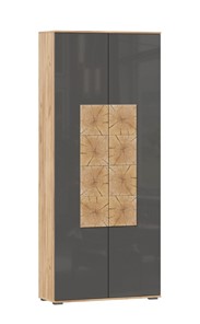 Шкаф двухстворчатый Фиджи с декоративными накладками 659.310, Дуб Золотой/Антрацит в Ангарске