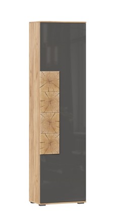 Шкаф одностворчатый Фиджи с декоративными накладками 659.300, Дуб Золотой/Антрацит в Ангарске - изображение
