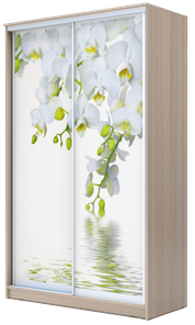 Шкаф 2-х створчатый 2400х1682х620, Белая Орхидея ХИТ 24-17-77-05 Ясень Шимо Светлый в Ангарске