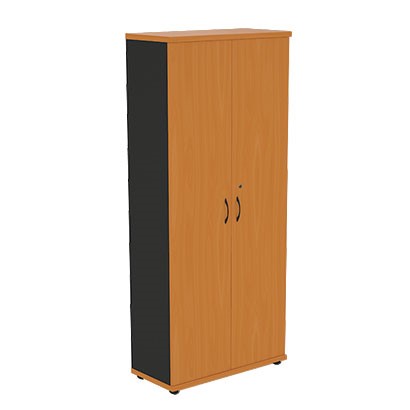 Шкаф для одежды Моно-Люкс R5S05 в Ангарске - изображение