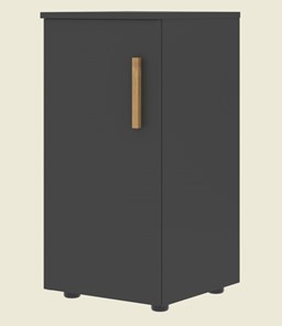 Низкий шкаф колонна с глухой дверью левой FORTA Черный Графит FLC 40.1 (L) (399х404х801) в Ангарске - предосмотр